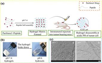 说明: crf313171-fig-0001-m 刘亚楠2
