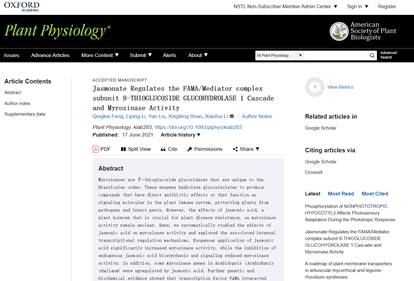 图形用户界面, 文本, 应用程序, 网站 描述已自动生成